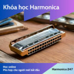 Khóa học Harmonica